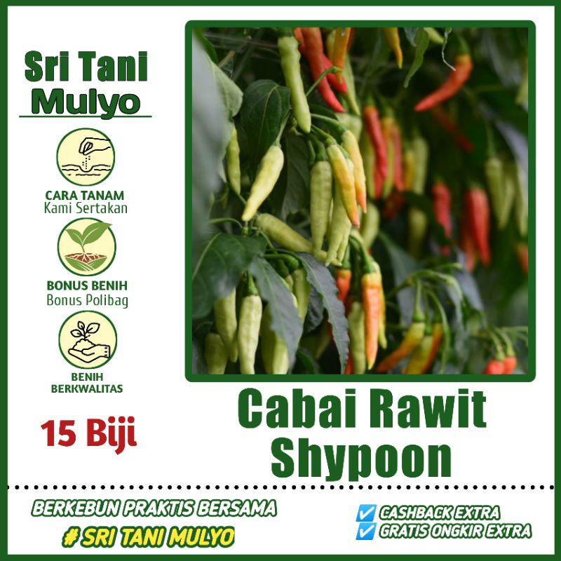 CABAI RAWIT BERANGKAI 15 biji - Benih Cabai Shypoon Cabai Gerombol Cabai Rawit Unggul Bibit Sayuran