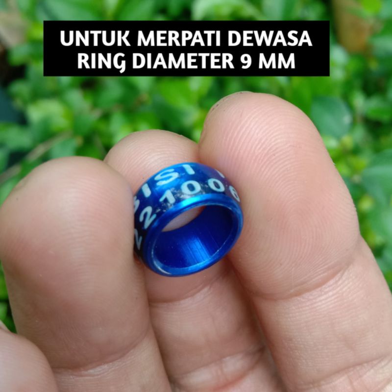 25 BJI RING MERPATI DEWASA CINCIN MERPTA2I DEWASA RING MERPATI MURAH RING MERPATI TERBARU RING GELAN