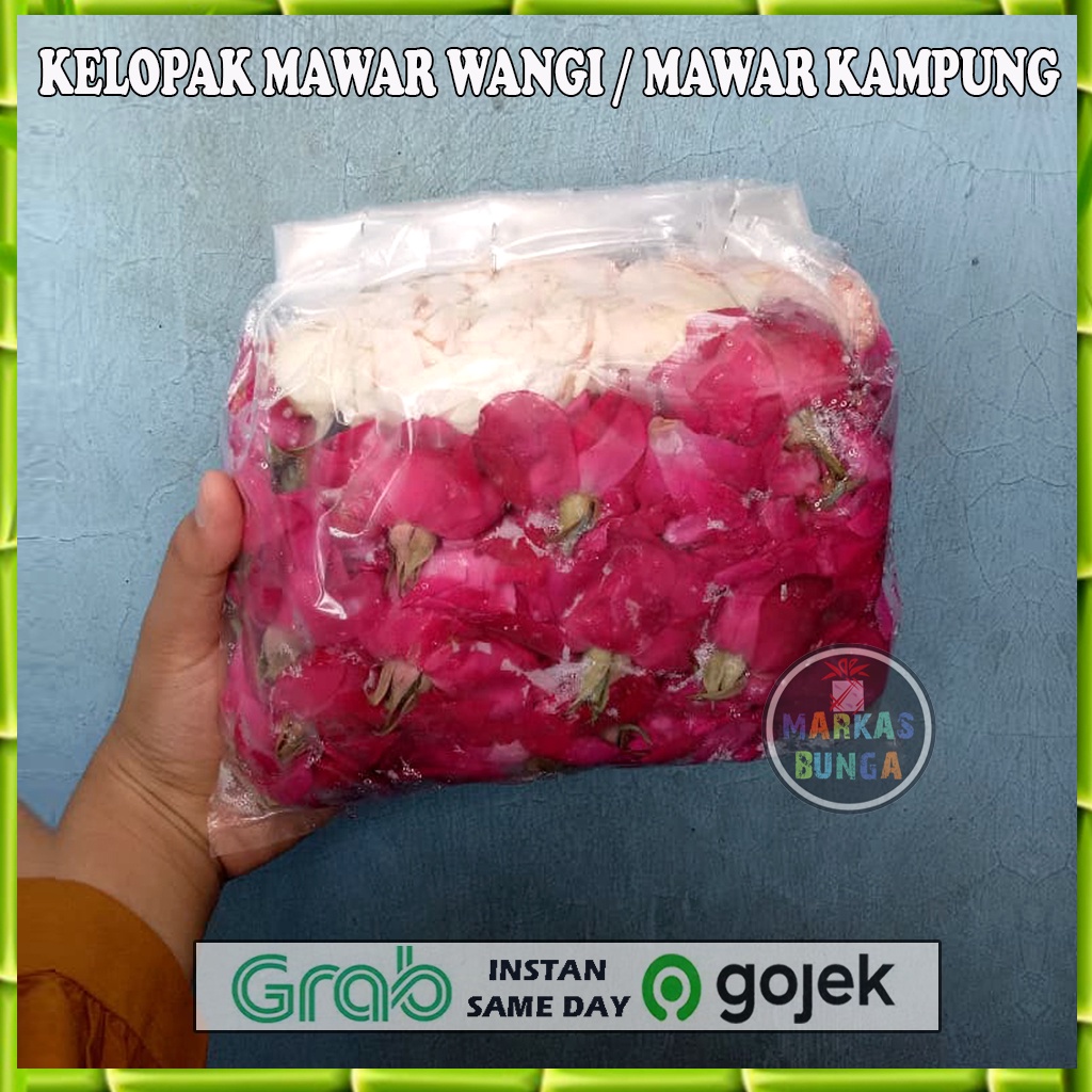 bunga mawar kampung / Mawar wangi