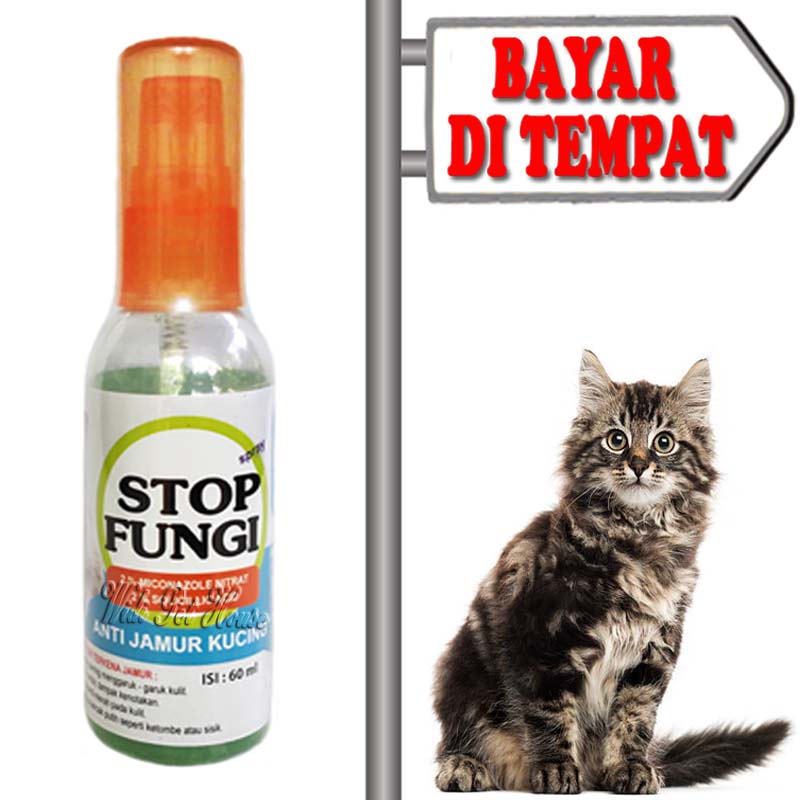 Obat Koreng Jamur Buduk Scabies Kucing Semprot Stop Fungi