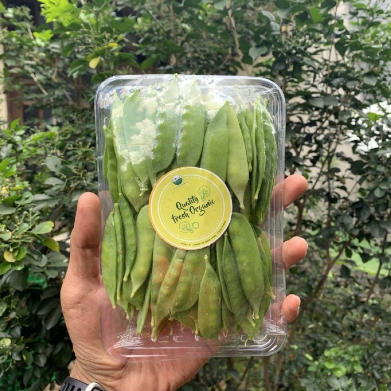

Kacang kapri organik