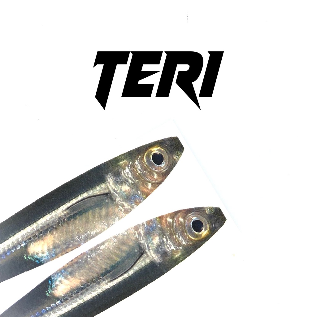 Water Slide Decal Micro  jig Lure Tetra 7g 10g