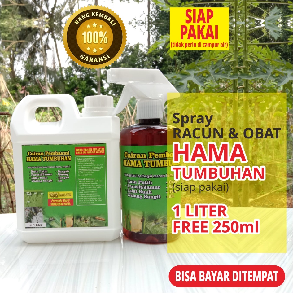 [bogorfarm] OBAT HAMA TANAMAN | JAMUR TANAMAN DAUN | HAMA DAUN | ULAT BULU | KAKI SERIBU | HAMA PUTIH 1liter FREE 500ml