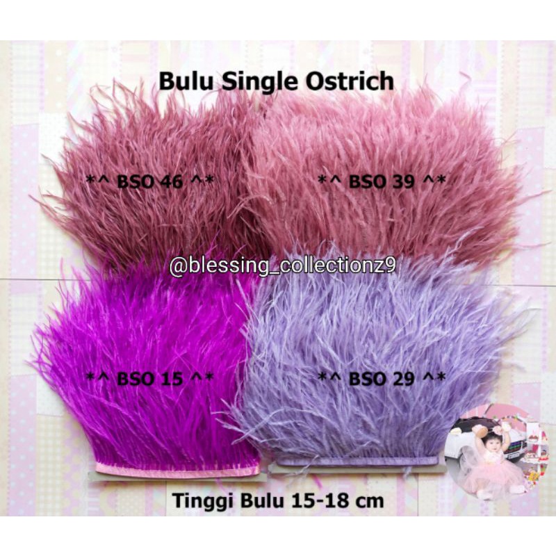 

Single Ostrich / yard