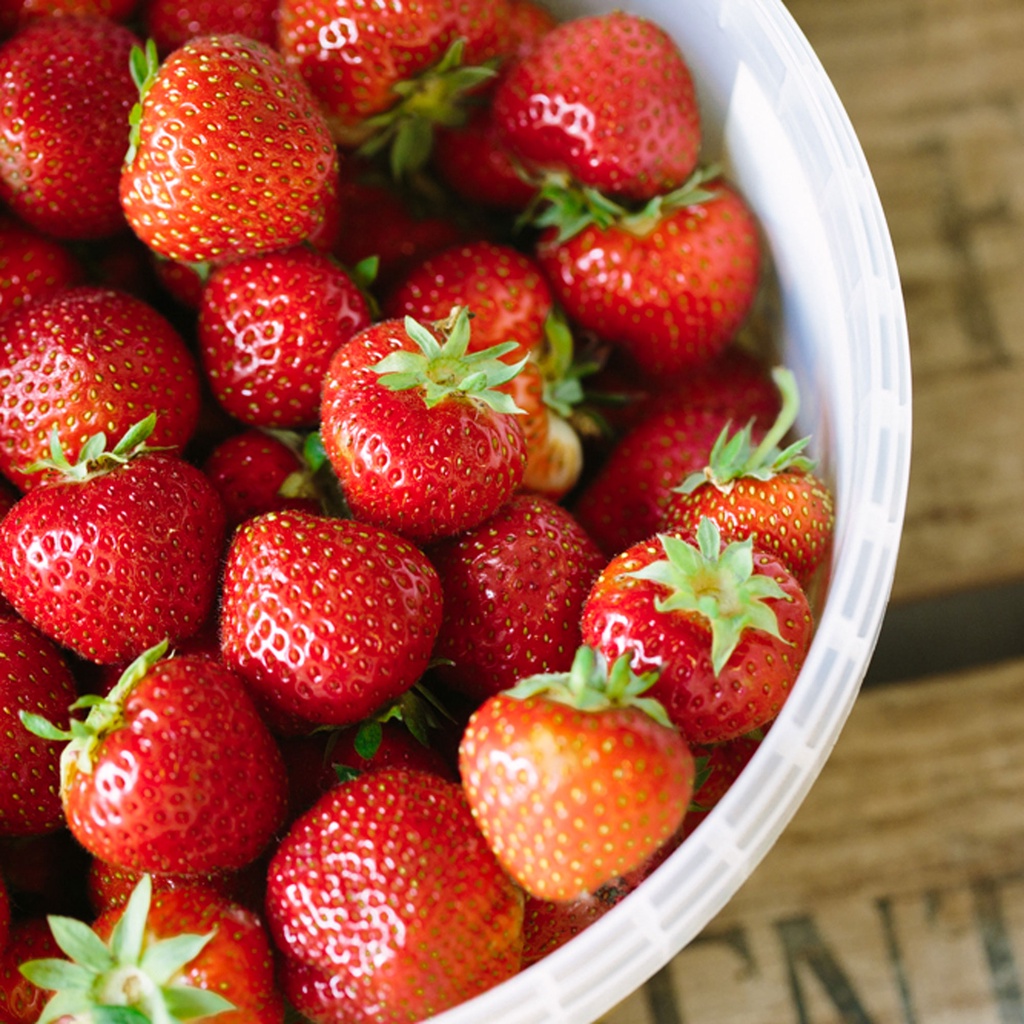 

Buah Strawberry Fresh ciwidey/ ukuran sedang murah