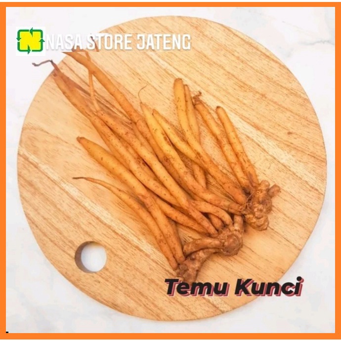 

TEMU KUNCI ORGANIK 100 GRAM BUMBU REMPAH