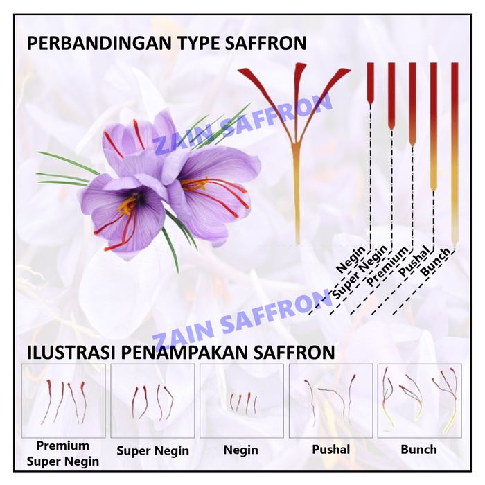 

Saffron Iran - Premium Super Negin (Grade Tertinggi) - 1 gram Safron