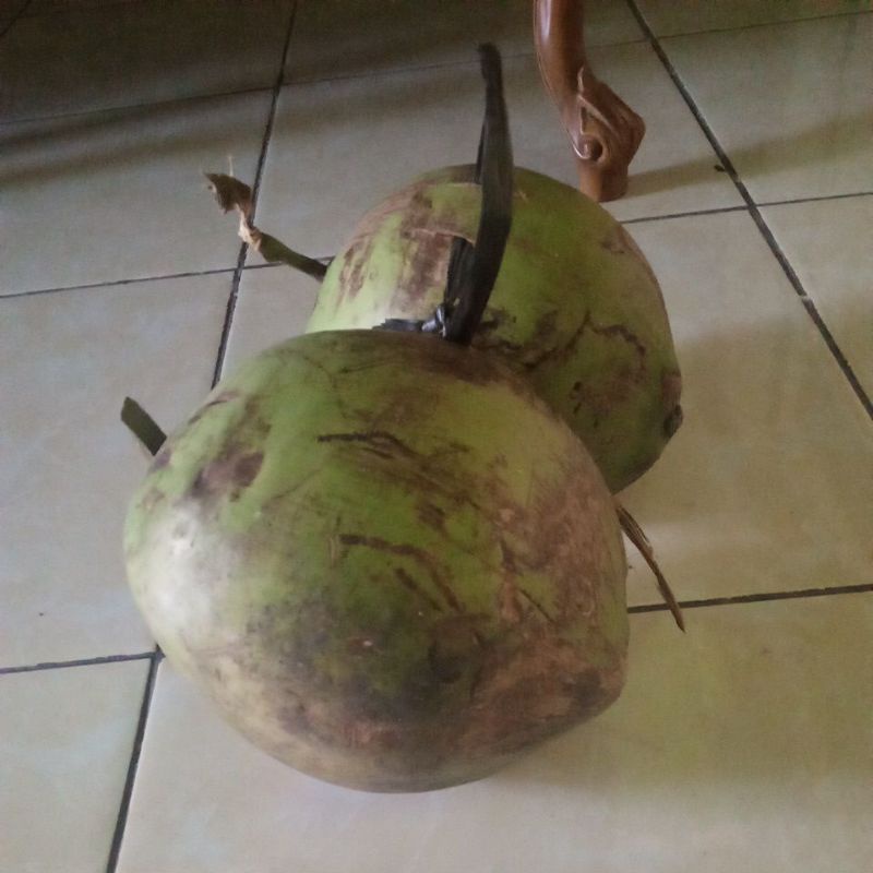 

Degan wulung