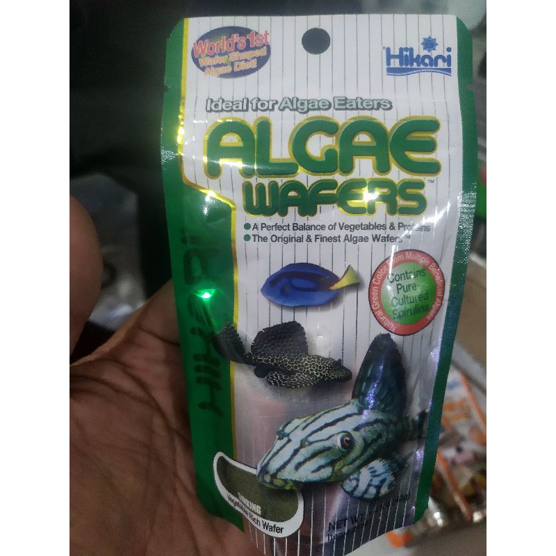 Hikari algae wafers