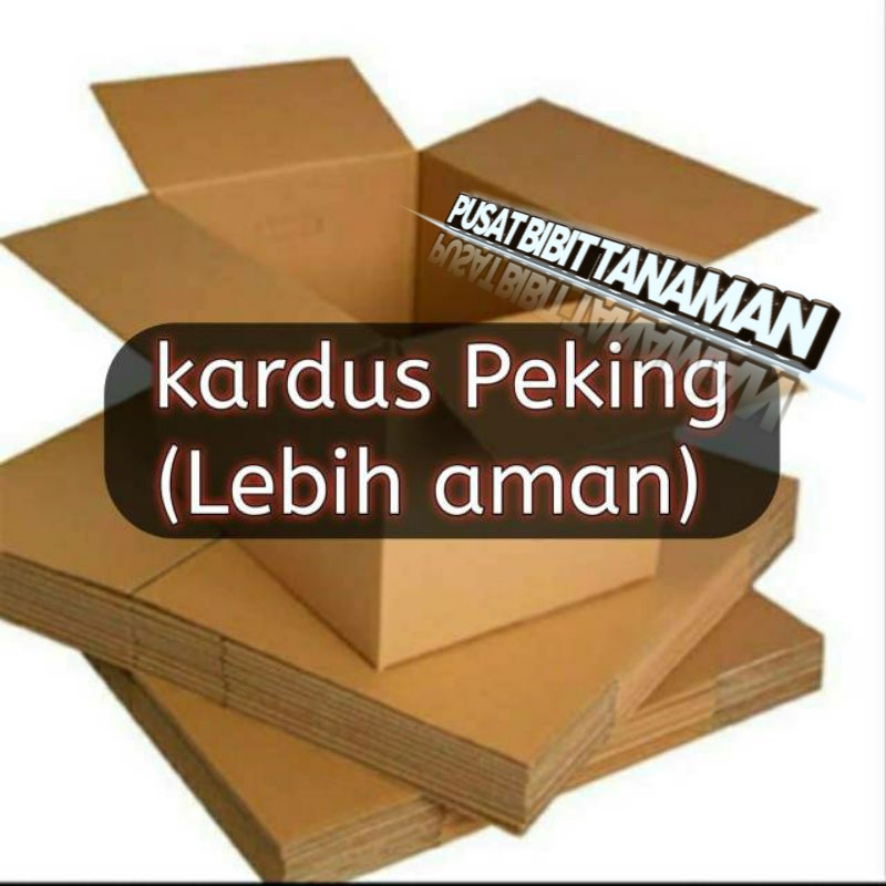 

peking rapi (kardus lebih tebal dan aman)