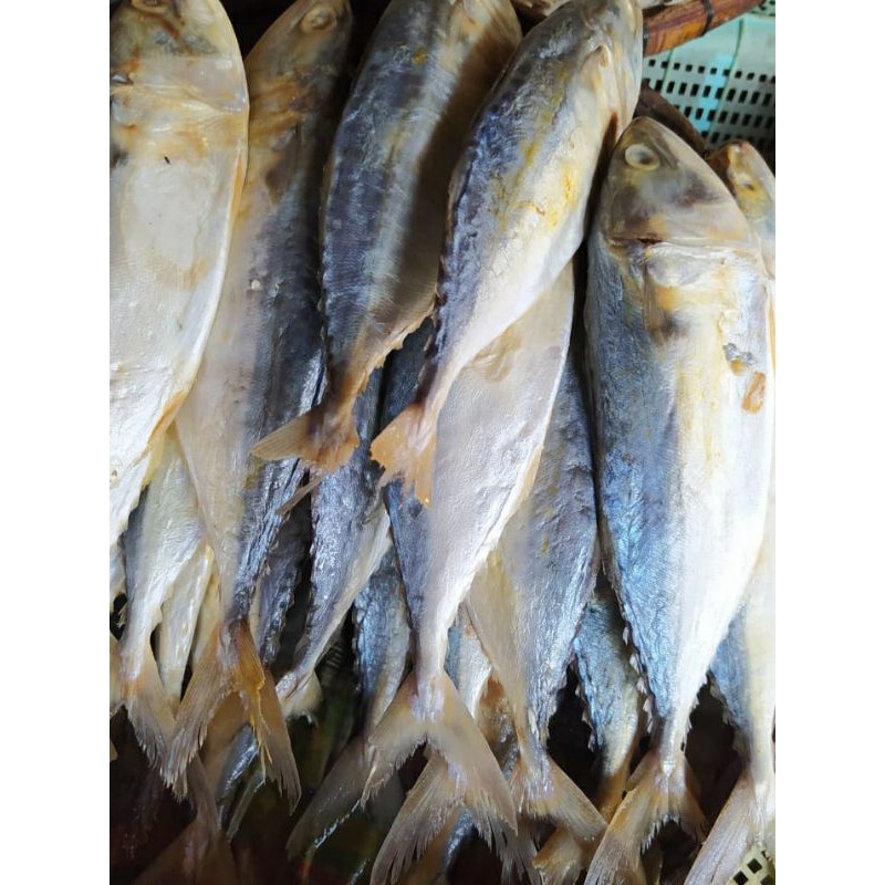 

Ikan Asin Peda Putih 500 gr