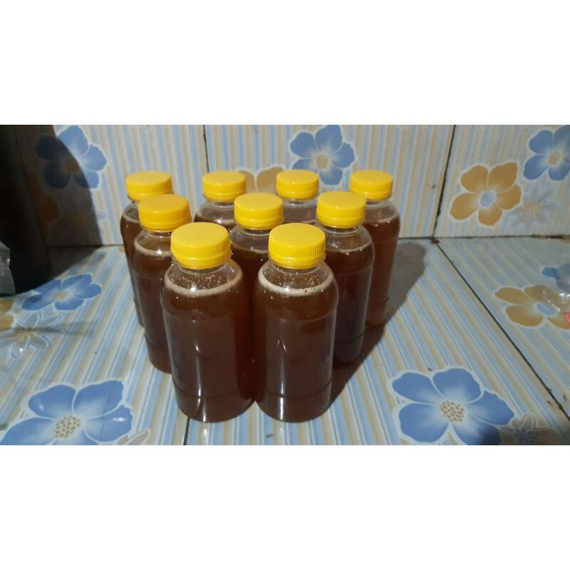 

madu hutan asli 100% murah