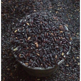 Beras Ketan Hitam Pk Per 1 2 Liter Masih Ada Kulit Ari Lebih Banyak Vitamin Indonesia