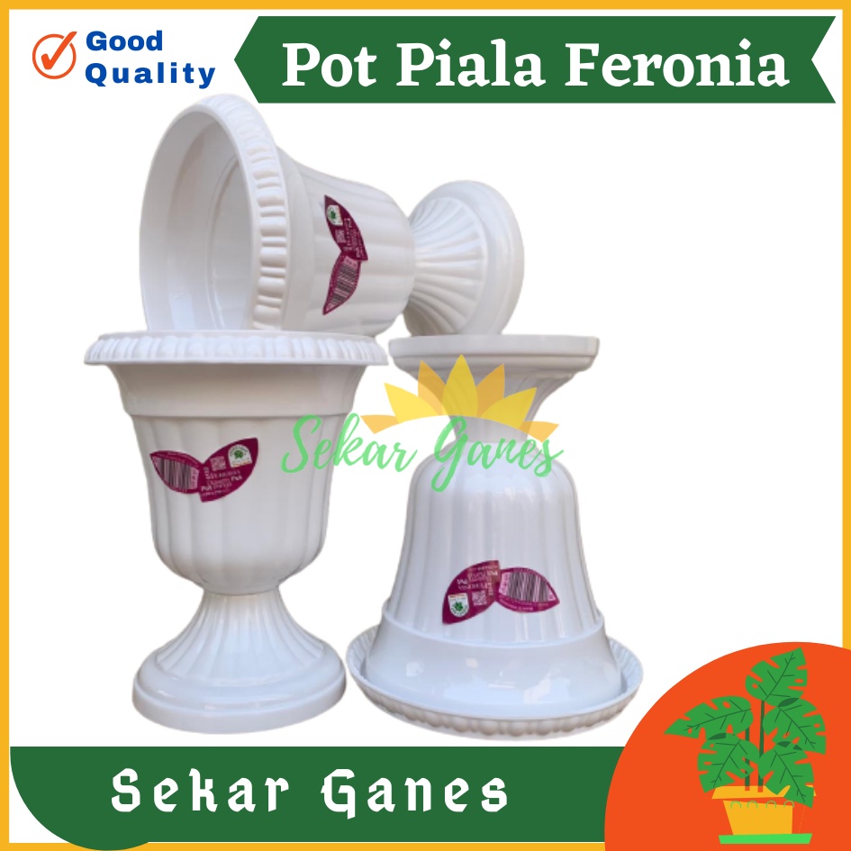 Pot Piala Green Leaf Feronia 6152 Putih Pot Piala Tinggi Putih Plastik hitam pendek 50 - Pot bunga tanaman piala feronia putih 18cm - PIALA MINI 6152