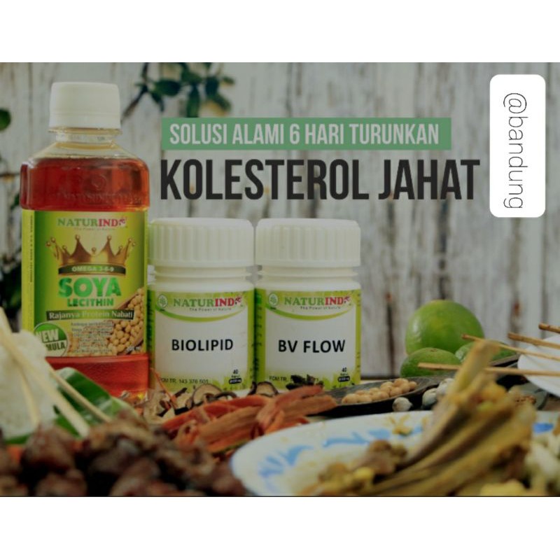 Paket Herbal Alami Turunkan Kolesterol Naturindo