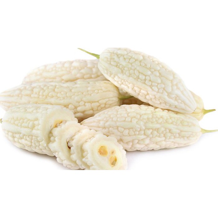 Benih Bibit Biji - Pare Putih Susu Jyunpaku Okinawa Pure White Bitter Melon Seeds - Pare Tidak Pahit! Rasa Manis