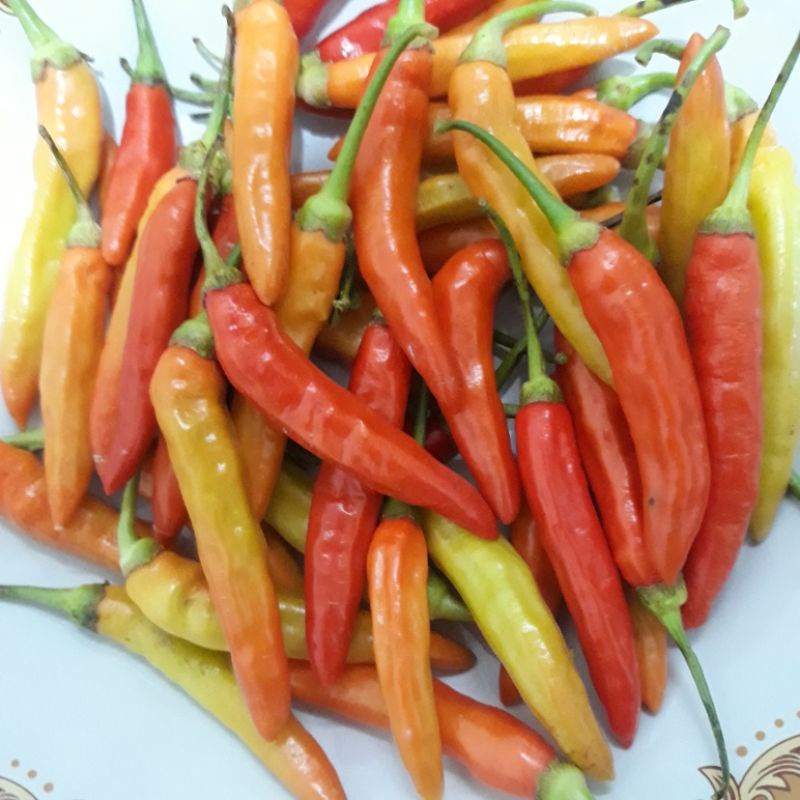 

Cabe / Cabai Rawit Merah Segarrr 100 gram - 250 Gram