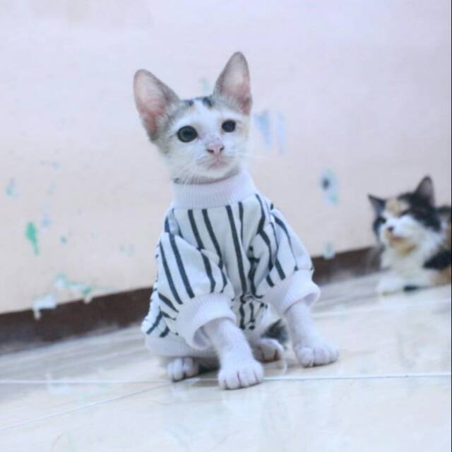 Kaos lengan panjang strip hitam putih untuk kucing dan anjing / baju kucing murah size S M L XL