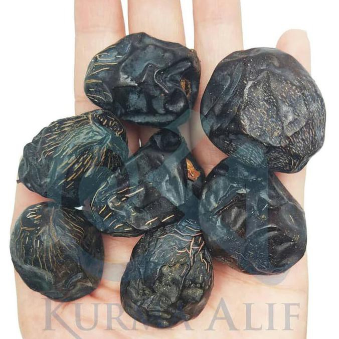 

Silahkan Order Kurma Ajwa Jumbo Istimewa Kurma Nabi Madinah Grade A Asli Madinah 500