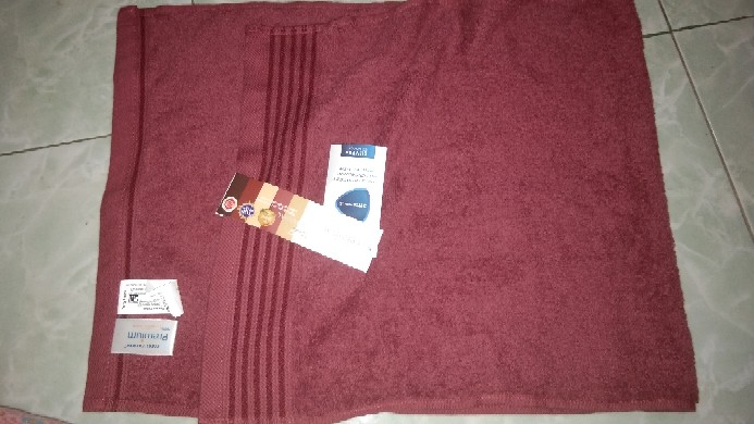 Rc Terry Palmer Handuk Muka / Olahraga / Sport Eternal 34x80cm / Handuk Travel