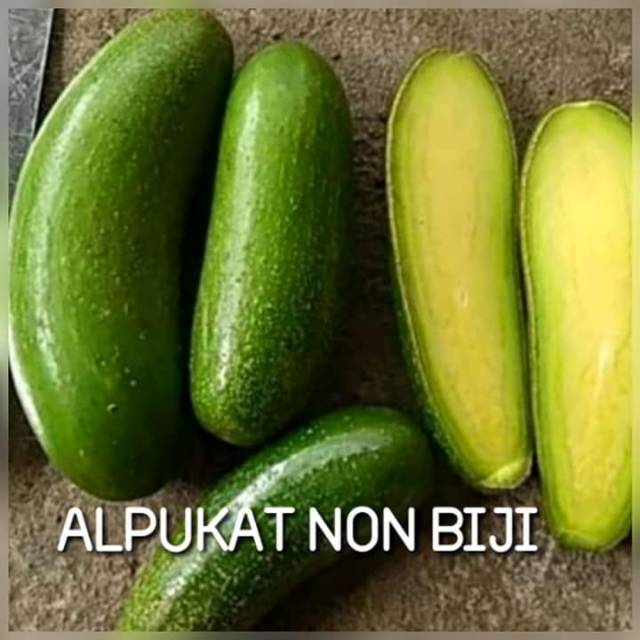 Alpukat non biji