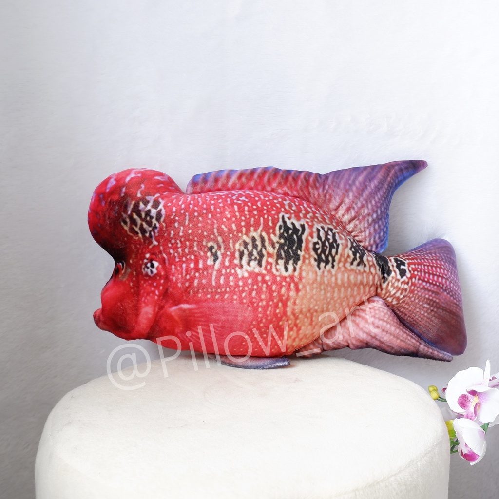 Pillowart - Bantal Boneka Ikan Louhan Size M - ART061