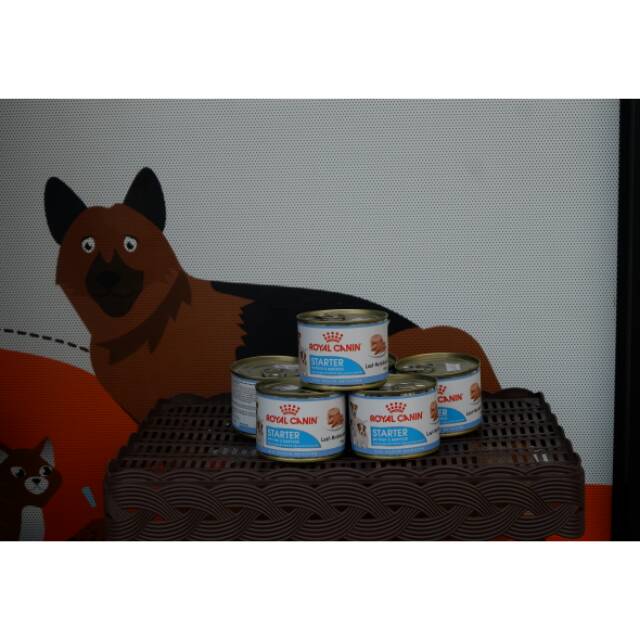 Royal Canin Starter 195gr