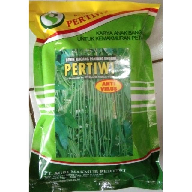 Kacang panjang pertiwi