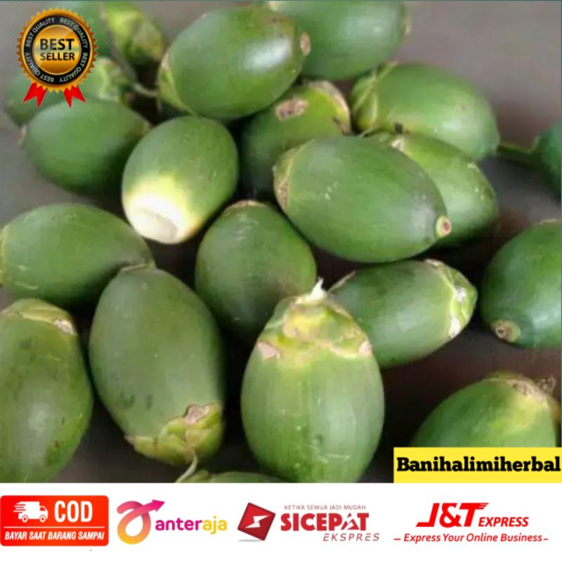 

Buah pinang muda segar 500 gram
