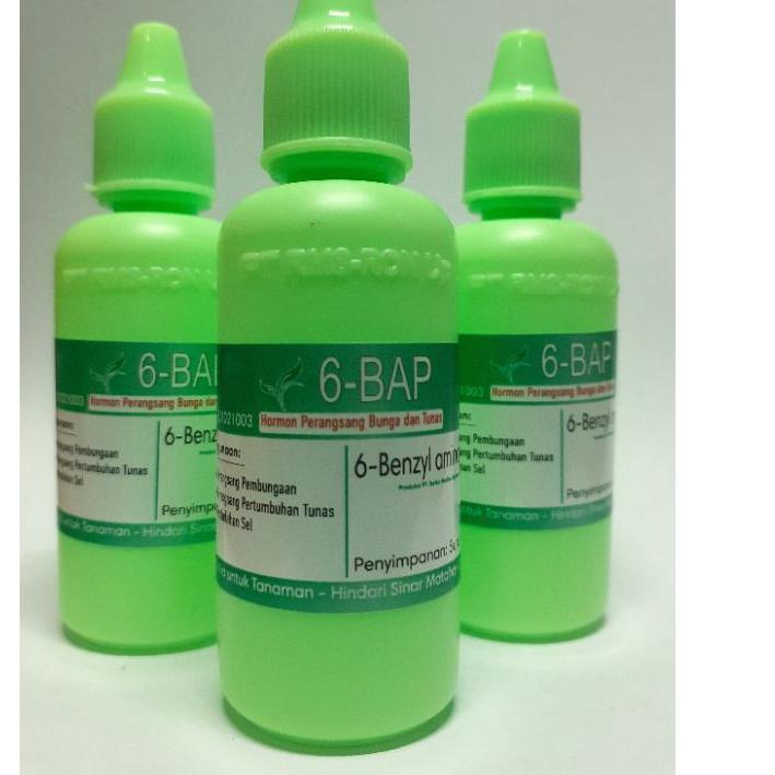 ➸ hormon 6 bap benzylaminopurine penumbuh tunas tanaman anggrek kemasan 30ml original ♕