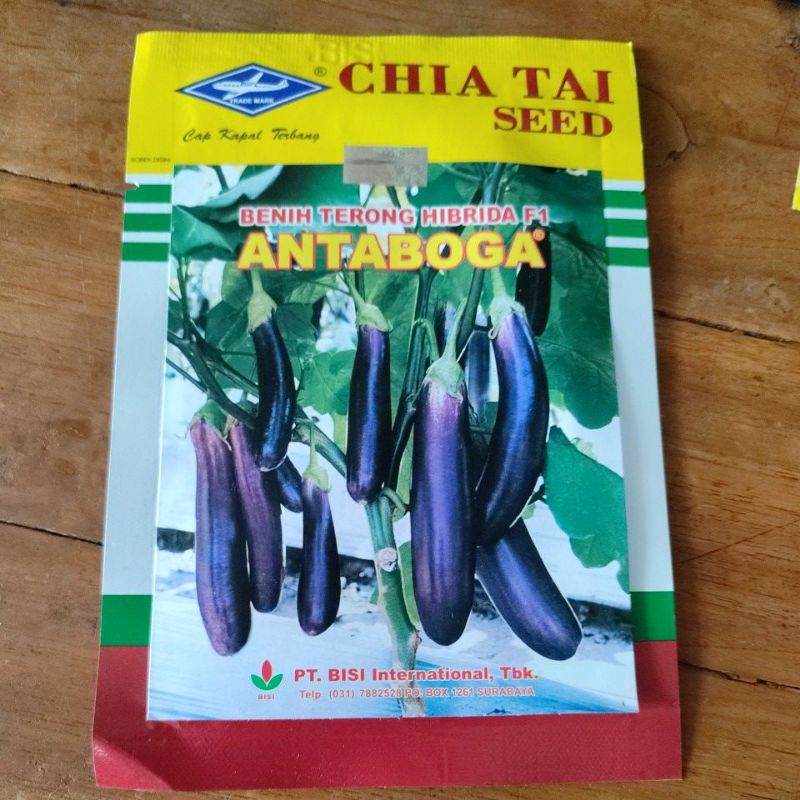 Benih terong Antaboga