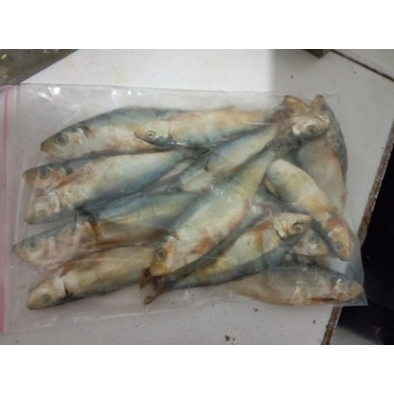 

ikan asin tembang