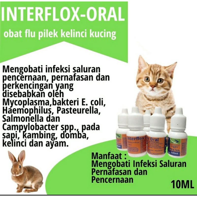 OBAT FLU KELINCI KUCING INTERFLOX ORAL 10 ML GANGGUAN PERNAFASAN PILEK BATUK