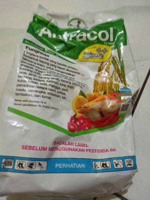 Fungisida Antracol 250 Gram