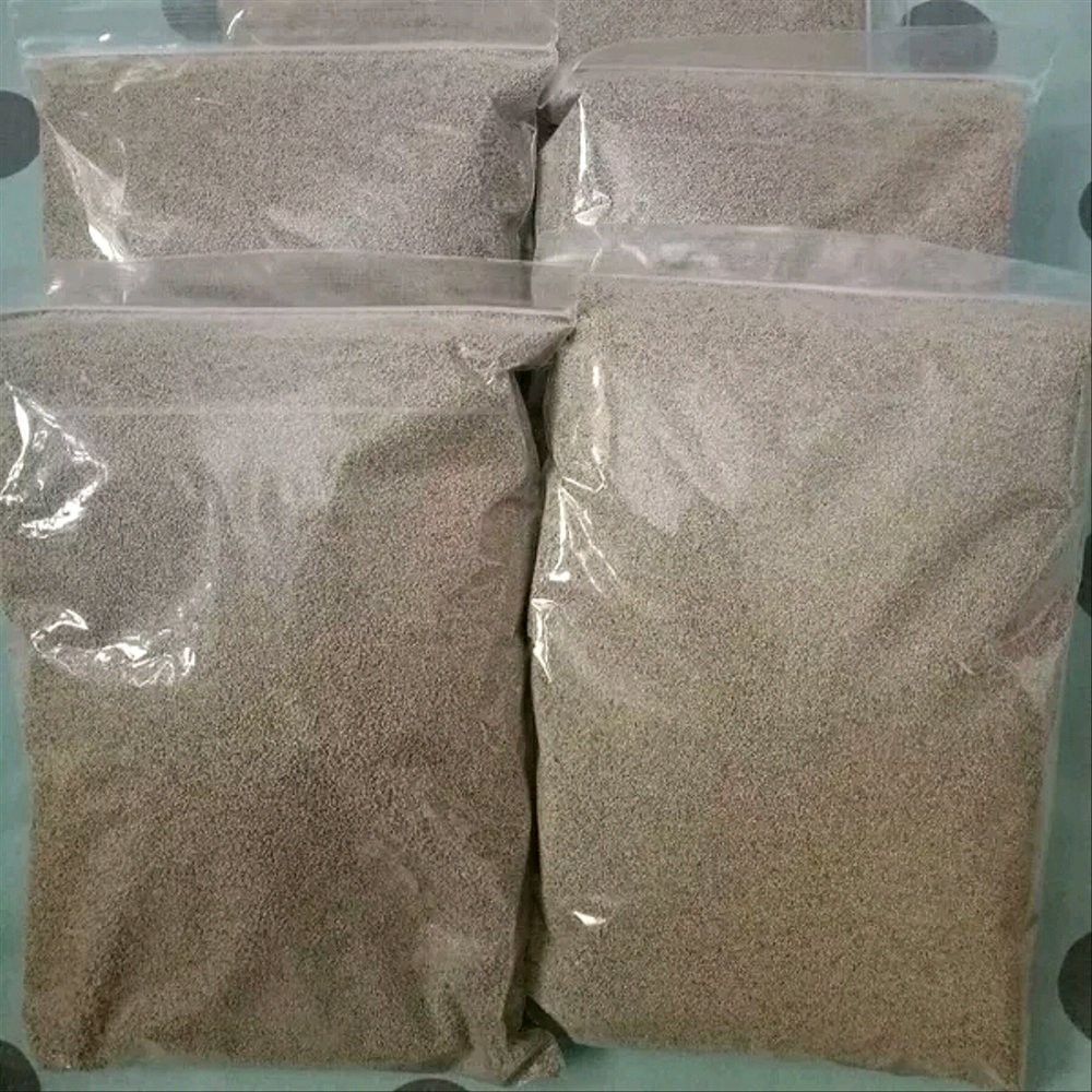 Bermuda Grass Seed 2lb Berkualitas