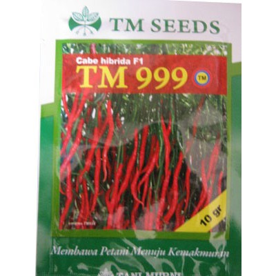 Benih Bibit Tanaman Cabai Cabe Keriting Hibrida F1 TM 999 Hidroponik