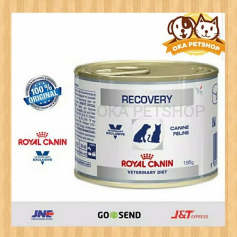 Royal Canin Recovery Kaleng 195gr - RC Recovery 195gr Kucing dan Anjing