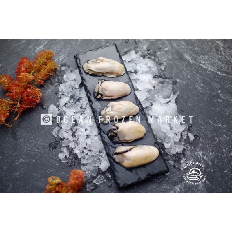 

Frozen Japan Oyster Meat 200gr / Pack kerang seafood