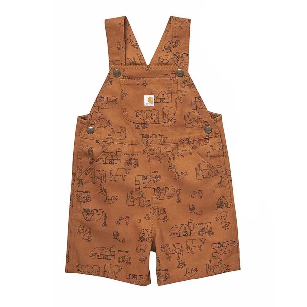 overall anak laki-laki carhartt