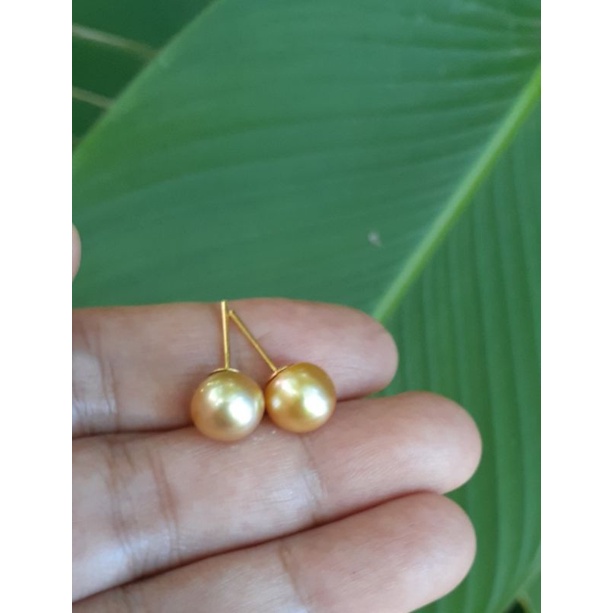 giwang tusuk emas mutiara laut