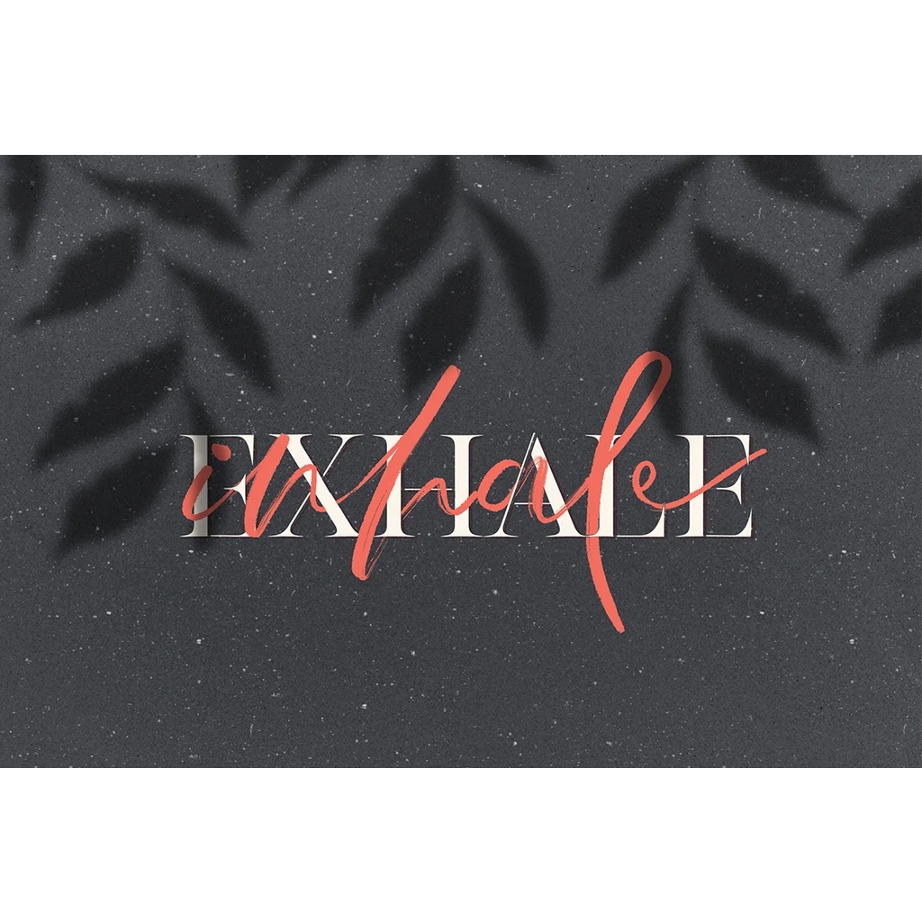 Procreate Brush - Wild Shadow Overlays for Procreate