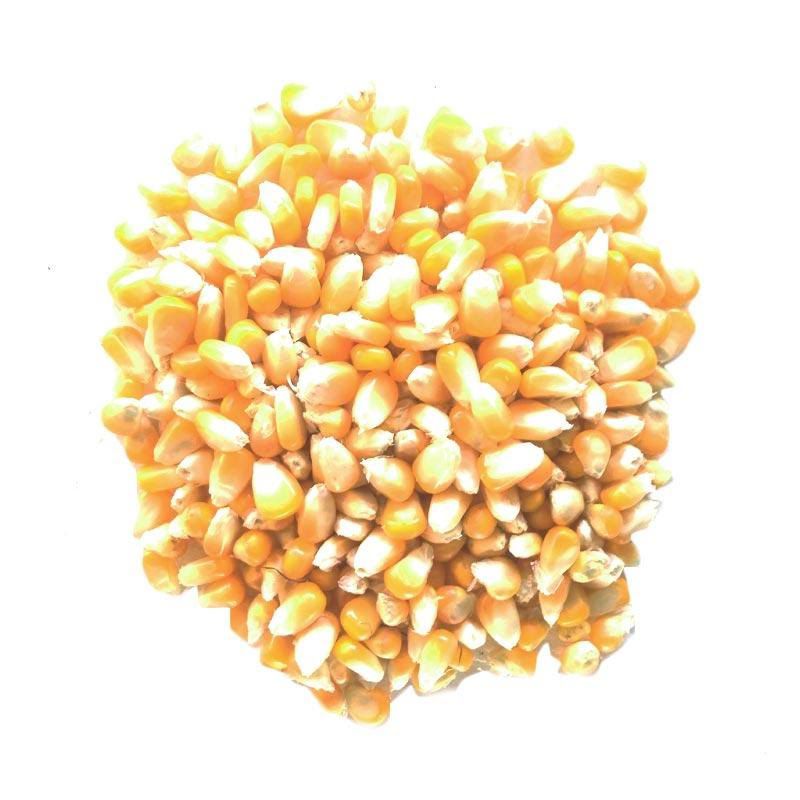 

Jagung Butiran Netto. 1 kg