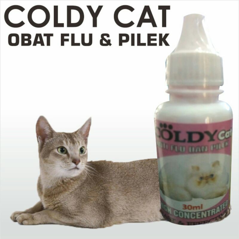 COLDY(obat flu dan demam kucing)