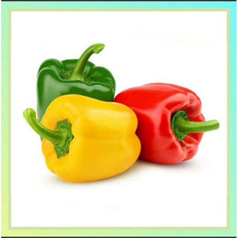 

Paprika per pcs - Sayur Segar
