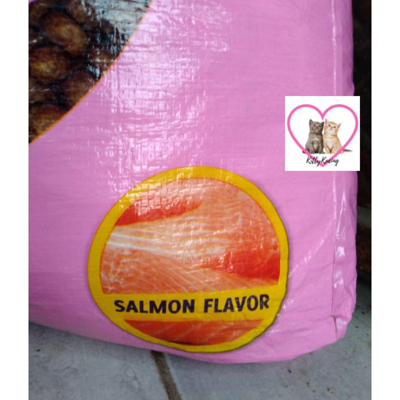 Makanan Kucing BOLT TUNA SALMON 20KG TERMURAH