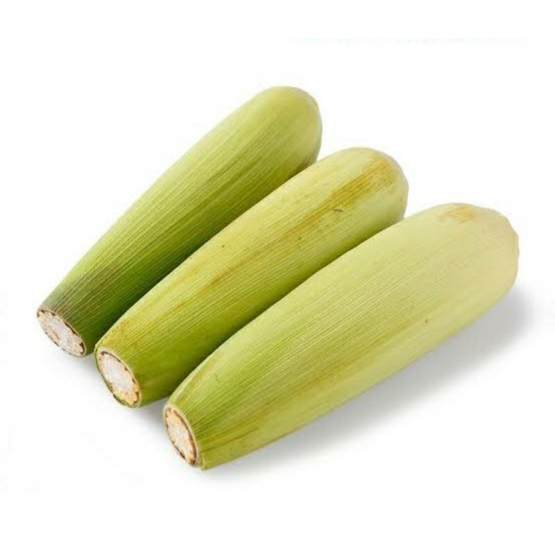 

Jagung manis 1 kg