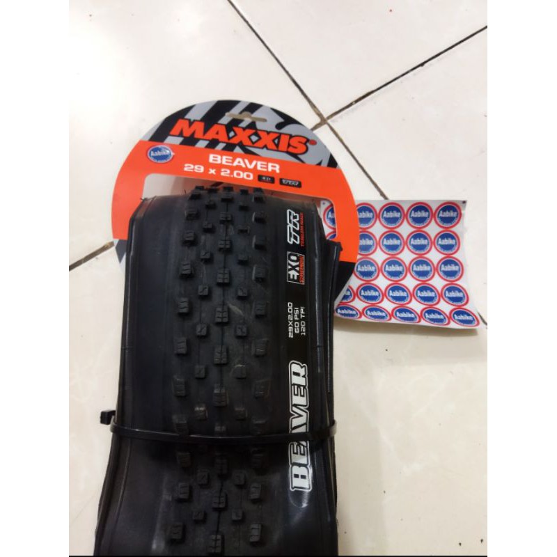 Ban Luar Maxxis Beaver 29  x 2.00 TR