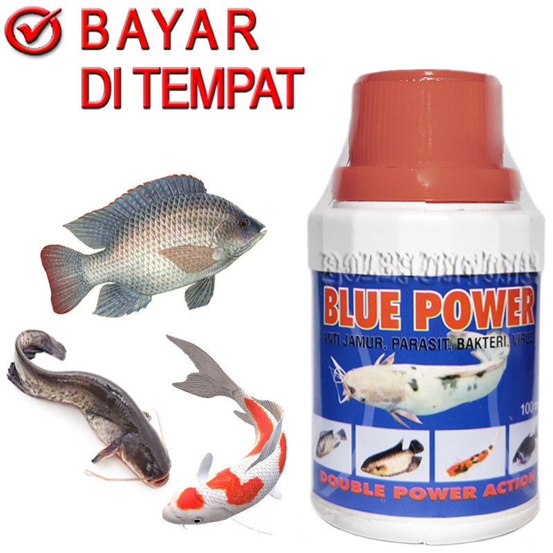 BLUE POWER OBAT IKAN SAKIT PENGHILANG JAMUR KORENG NILA PATIN MAS LELE