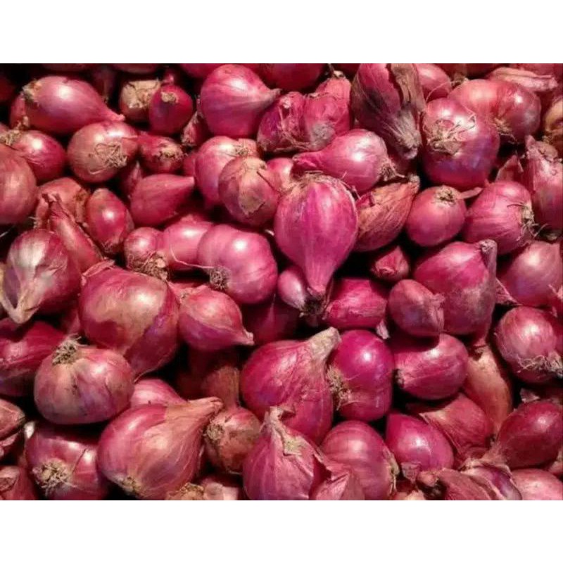 

BAWANG MERAH KERING BANGET HARGA MURAH MERIAH UKURAN KECIL MIX BERAT 500 GR