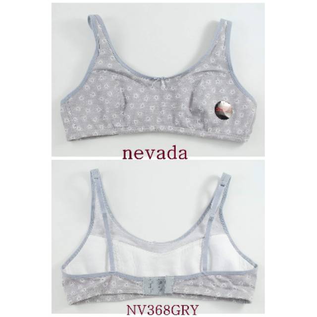 NEVADA MINISET STEP 2